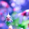 アートアクアリウム2019　何か？