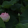独り　その220