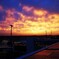成田夕日