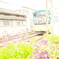 阪堺線の風景