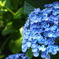 878B5DA2-1193-486E-AD85-B83241F95320