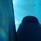 365日怒っている彼の写真