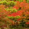 陶芸村日本庭園