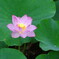 DSC00325