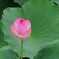 DSC00328