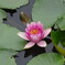DSC00329