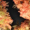 紅い夜空