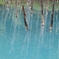 青い池