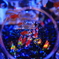アートアクアリウム2019 XII
