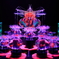 アートアクアリウム2019 XIX