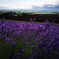 IMG_20190717_230615_981