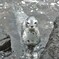 観光客のお出迎え