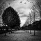 Drottningholms
