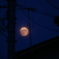 夜を照らす光