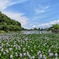 IMG_20190608_122121