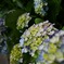 IMG_20190607_151233