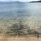 瀬戸内海