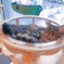 猫カフェネコ