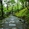 写洛一首【常寂光寺】