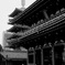 Tokyo Life