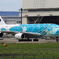「Blue」 ANA Flying Honu JA382A Landing