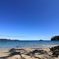 大島２