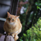 いい写真、撮れてます？