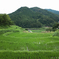 明日香村　大字稲渕