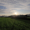 夏の西陽をあびる