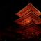 清水寺秋のライトアップ5