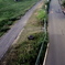 道