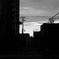 夕景1（モノクロ）