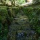 涼しげに