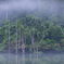 朝靄の自然湖