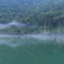 朝靄の自然湖2