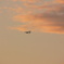 夕空に