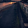 河を見て夕暮を知る