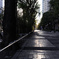 DSC00520