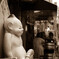 Billiken