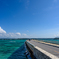 KOURI BRIDGE
