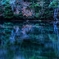 静寂な湖面