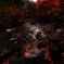 紅の川