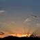 ある夕景