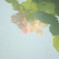 水に映っています