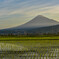 いつかの富士山