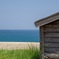 788D3AA1-FD6D-42C7-9558-80B837147AD3
