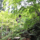 石山寺本堂