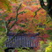 黒門と紅葉 