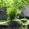 日吉大社②