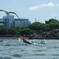190729_054_DSCF1937